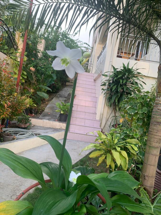 Soul Travellers Dagatan Castle Hotel Badian Exterior photo